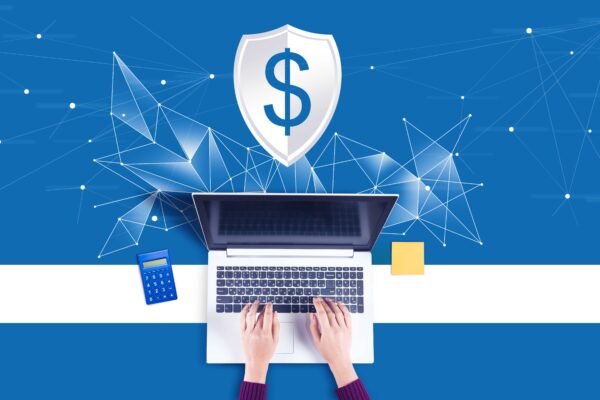 The Future of Secure and Transparent Online Lending with Traceloans